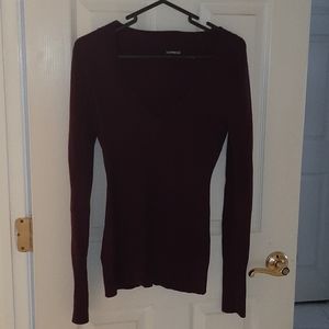 Express V Neck Sweater